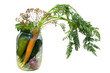 Composition from vegetables.