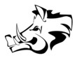 wild boar