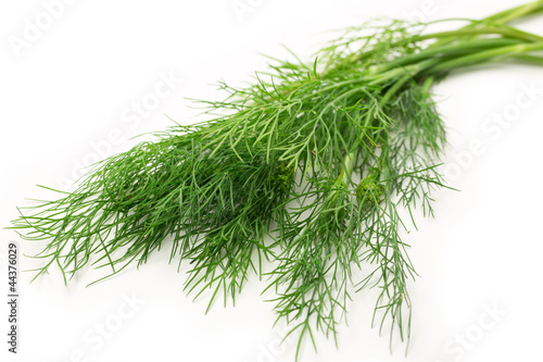 Photo: Fresh green dill on white Fresh green dill on white