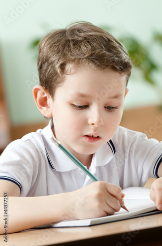 Photo: Young schoolboy does some notes with pen Young schoolboy does some notes with pen