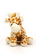 peluche