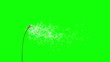 Dandelion on the wind (GreenScreen)