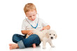 The boy listens to retriever puppy through a stethoscope