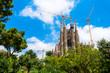 sagrada trees crane
