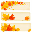 Three autumn banners with colorful leaves  Vector