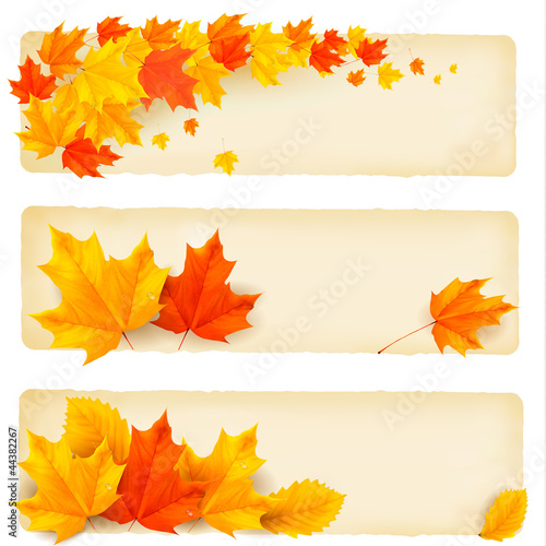 Vector: Three autumn banners with colorful leaves Vector Three autumn banners with colorful leaves Vector