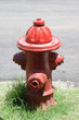 vintage old fire host conector