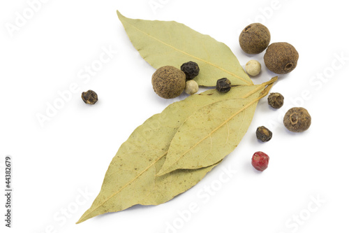 Photo: spices spices