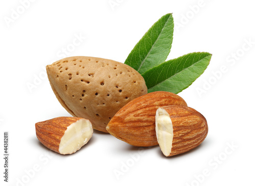 Photo: Almonds Almonds