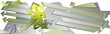 sport background banners