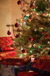 Illuminated Christmas tree