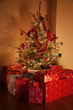 Illuminated Christmas tree