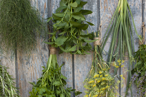 Photo: Different spices Different spices