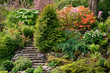 Rockery with slate steps and rhododendrons