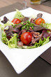 Salade Périgourdine