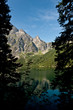 Mnich tatry