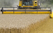 Close up of Combine harvester at work