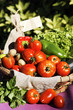 some fresh vegetables