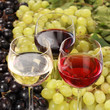 Weinprobe