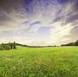 sunrise and summer meadow