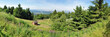 Panoramafoto Thüringer Wald