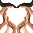 Photo: multiracial human hands making a heart shape multiracial human hands making a heart shape