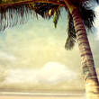 photobeach-17