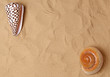 Large seashell on the sand, Studio shot