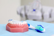 Artificial jaw and blue toothbrush are on table in dental clinic