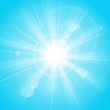 Sunny rays