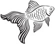 Goldfish