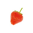 Red Strawberry