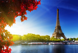 color of  autumn in Paris