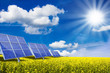 Solarkraftwerk auf Rapsfeld