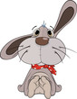 Rabbit Cartoon