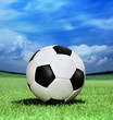 soccer ball on green grass