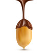 vector, isolated peanut with melted chocolate
