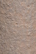 Shades of the old bronze background with corrosion