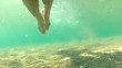 Swimmer