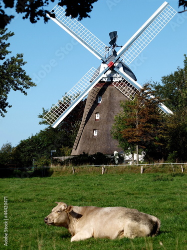 Photo: Mühle 7 Mühle 7