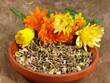 Ringelblumensamen