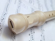 White recorder instrument