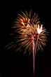Fireworks exploding against night sky