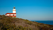 Lighthouse in giglio island