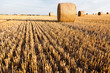 straw rolls on stubble field
