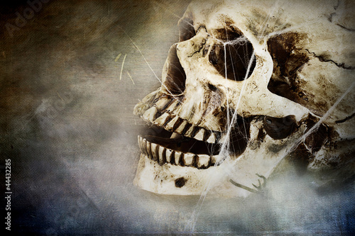 Photo: Creepy Skull Creepy Skull