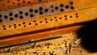 Incense stick in a wooden holder with red silk background, artit