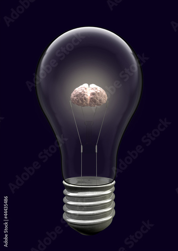 Illustration: Light Bulb Brain Creative Light Bulb Brain Creative