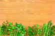 Border of Fresh  Herbs Collection on Vintage Wooden Table