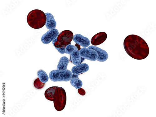Illustration: Globules rouges et bactéries sur fond blanc Globules rouges et bactéries sur fond blanc